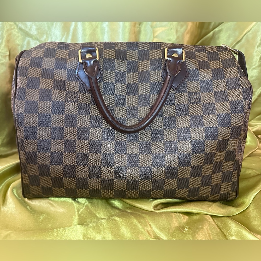 Louis Vuitton Brown Checked Speedy 30